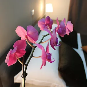 book here